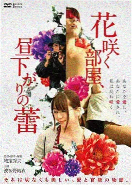 十七楼的风 都市爱情电影海报